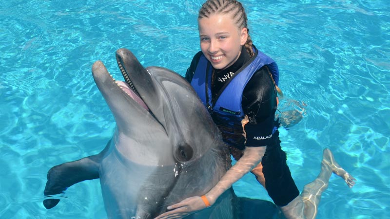 dolphin swimming in side