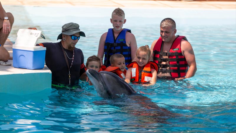 swimming dolphin with kids alanya