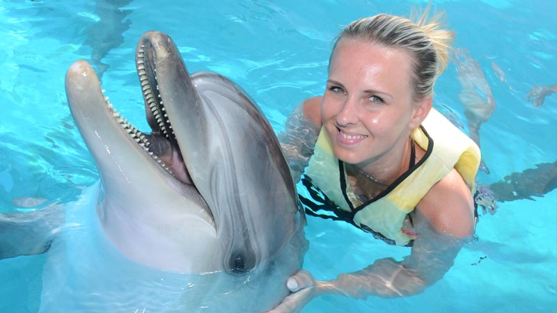 swimming with dolphins in alanyarecommendation